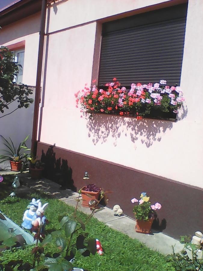 Mary Apartment Sibiu Exteriér fotografie