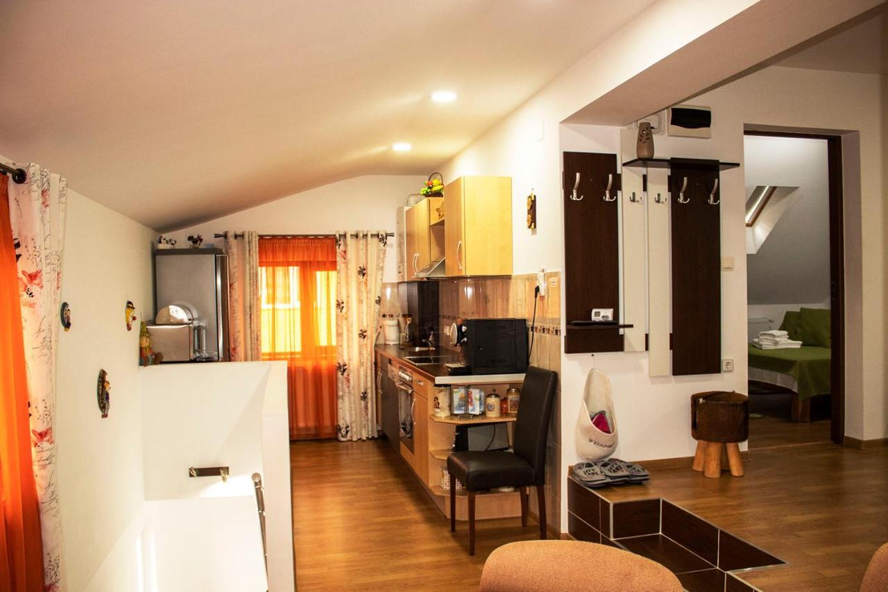 Mary Apartment Sibiu Exteriér fotografie